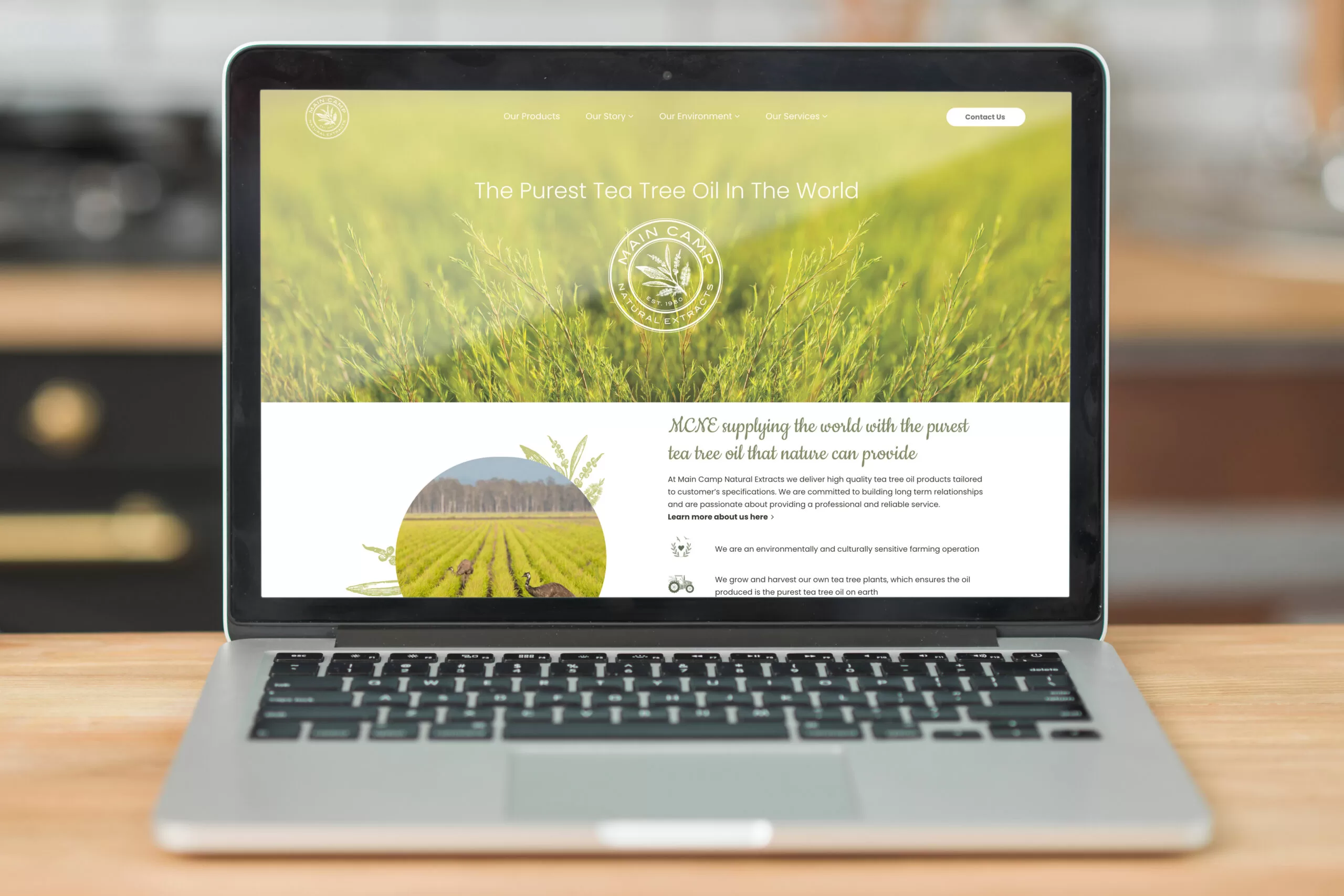 Main Camp Natural Extracts Website